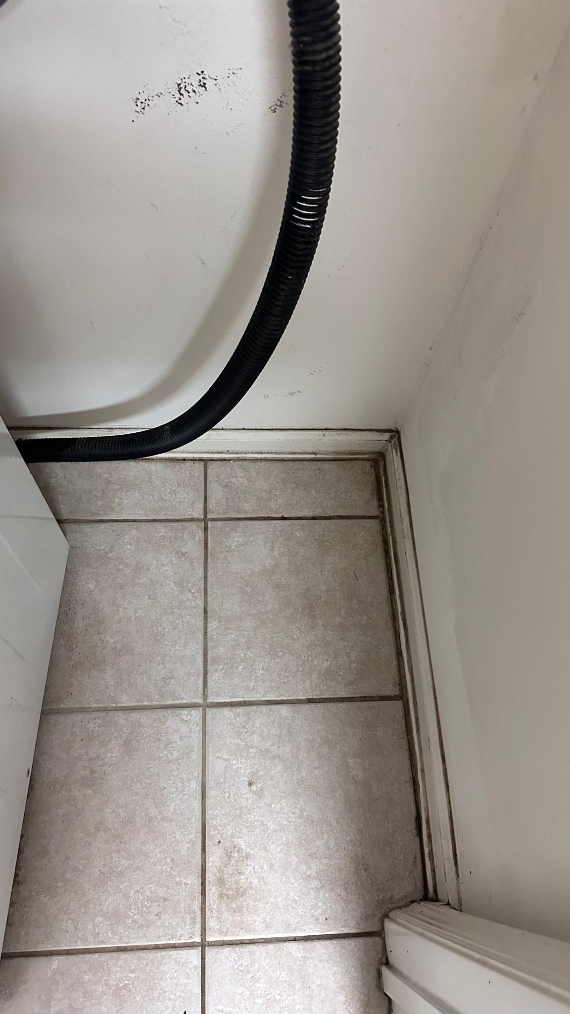 WhatsApp Image 2024-07-09 at 20.45.19 (1)